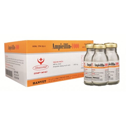 AMPICILLIN-1000